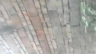 牛羊肉精品厕拍 高跟少妇毛少逼肥好像被发现- 国产99久久精品一区二区 -