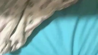 同城约的羞涩女友超棒口活超会做爱