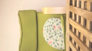 少女继妹们变得淘气,吸吮和操他们的继兄弟